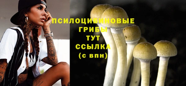 таблы Грязовец
