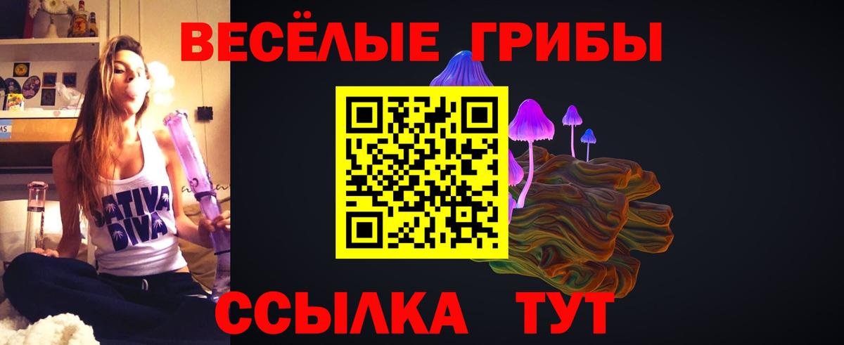Зеленодольск  Псилоцибиновые грибы мицелий  Галлюциногенные грибы ЛСД  Вход с VPN 